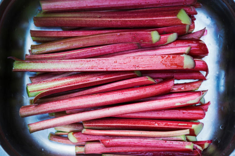 Love rhubarb? Now’s the time to plant for spring harvests for years to come