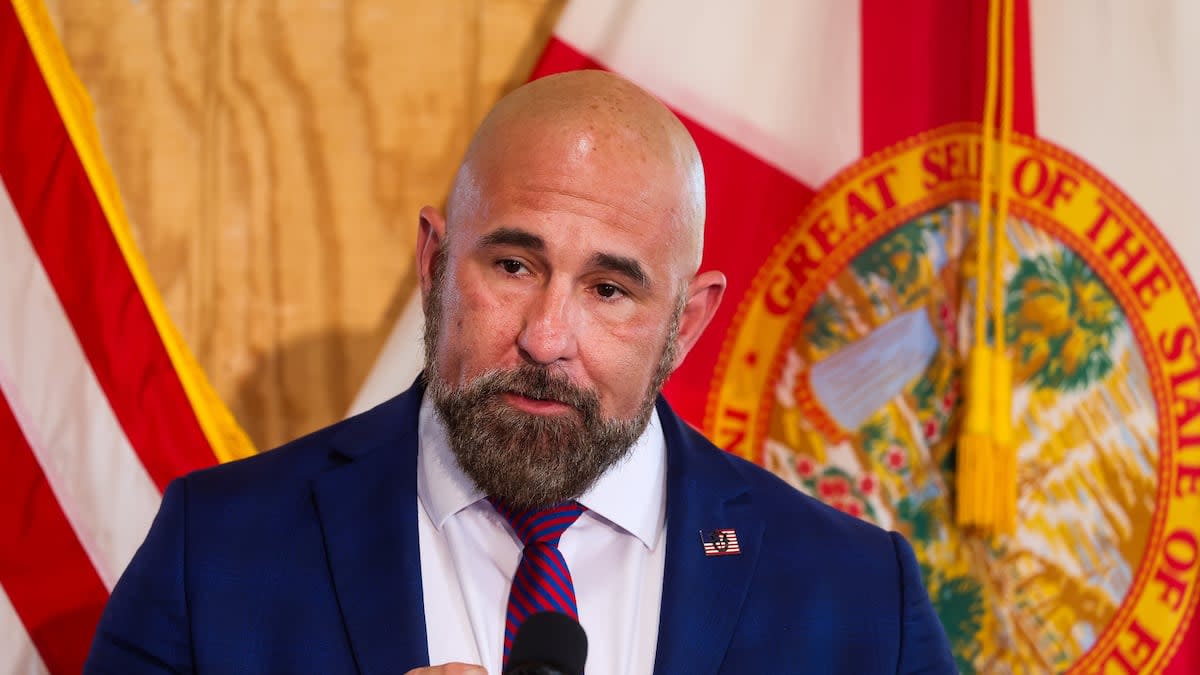 Could Dems snag a competitive Tampa state Senate seat next month?