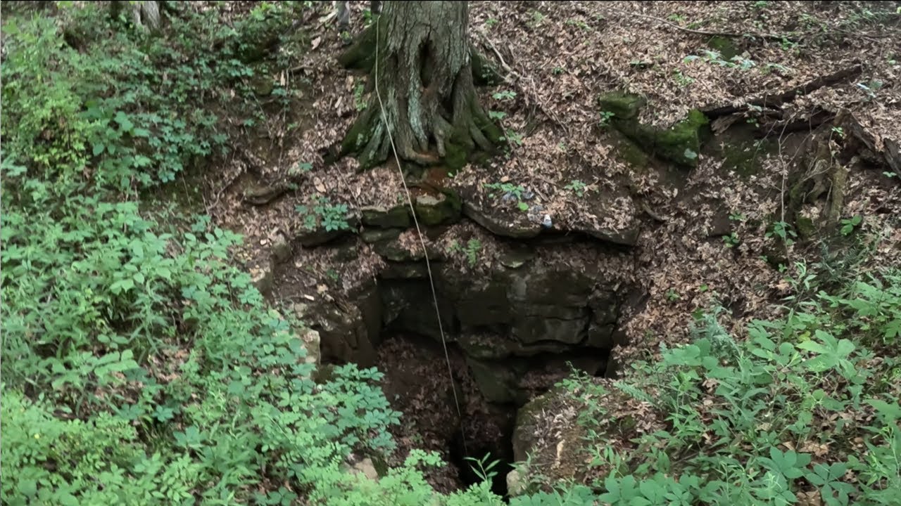 A dog went missing in the woods - its collar turned up 100 feet down