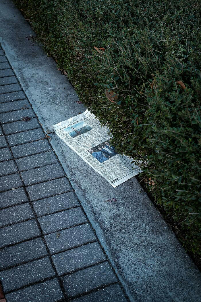 40 times neighbors did something so strange it had to be shared