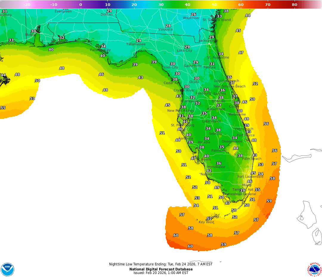 'Winter returning with vengeance' to Florida. How cold will it get?