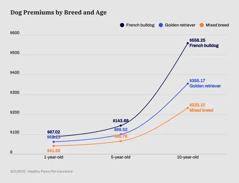 How Breed and Age Impact the Cost of Pet Insurance