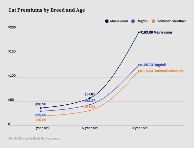 How Breed and Age Impact the Cost of Pet Insurance