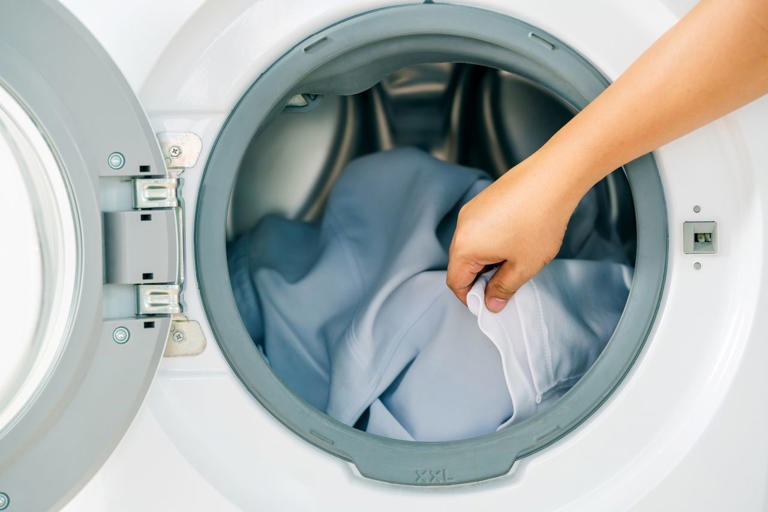 The secret place in your washing machine you should check for lost socks