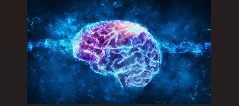 New brain discovery could help reverse the effects of aging