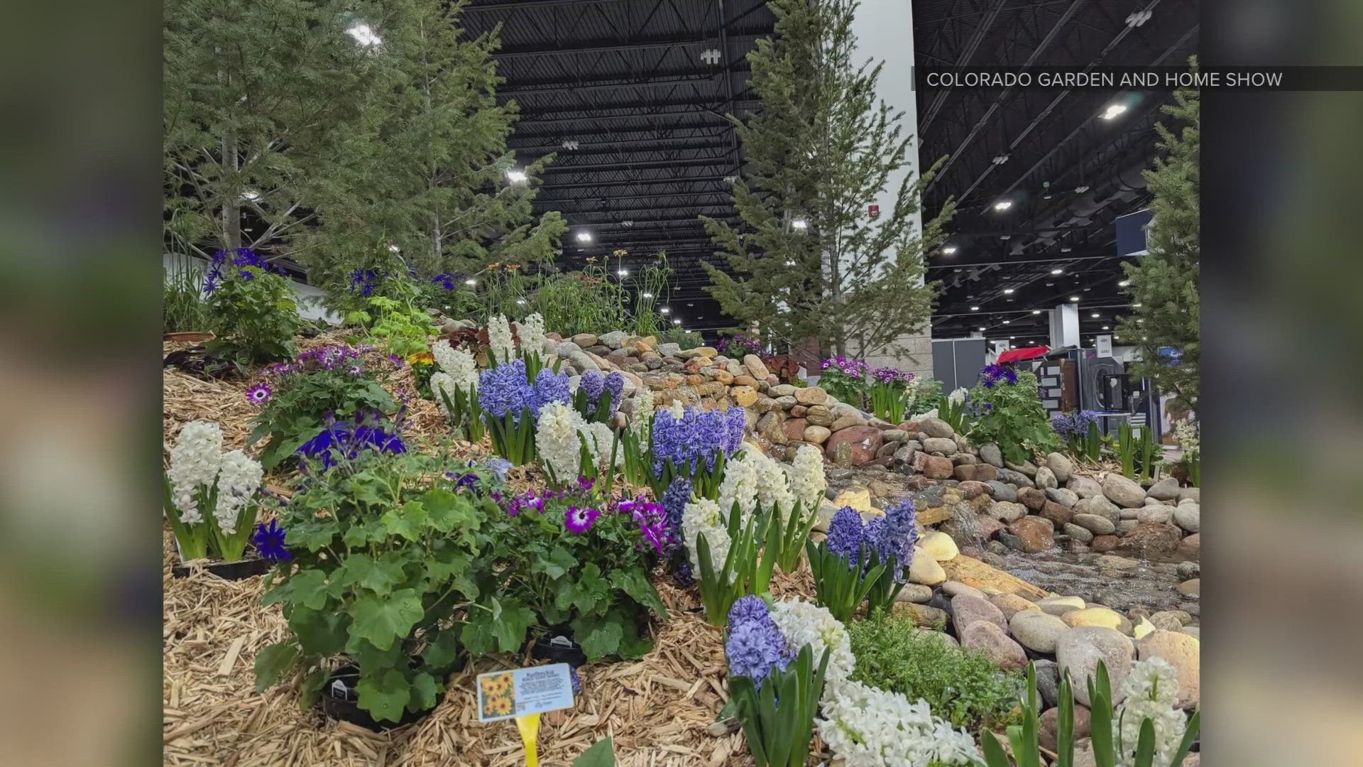 Tips for designing your spring garden