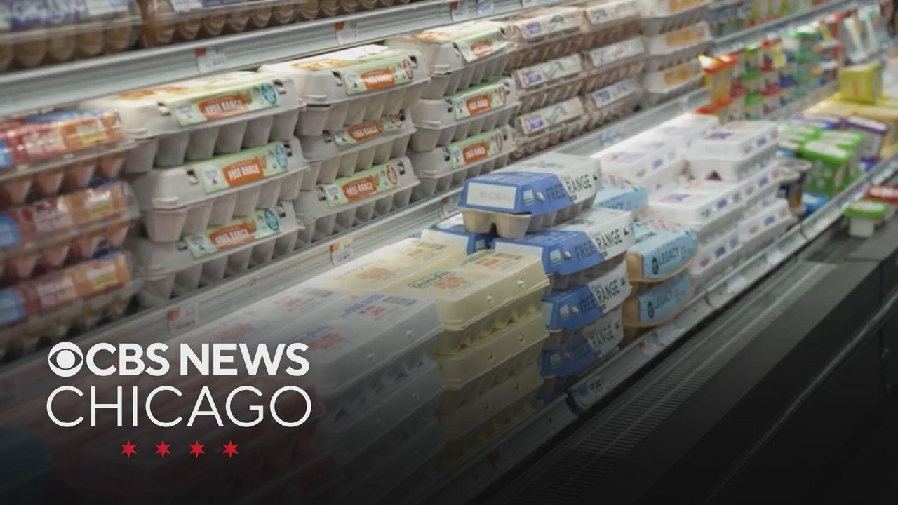 Egg prices plummet as recovery from bird flu forces farmers to sell at ...