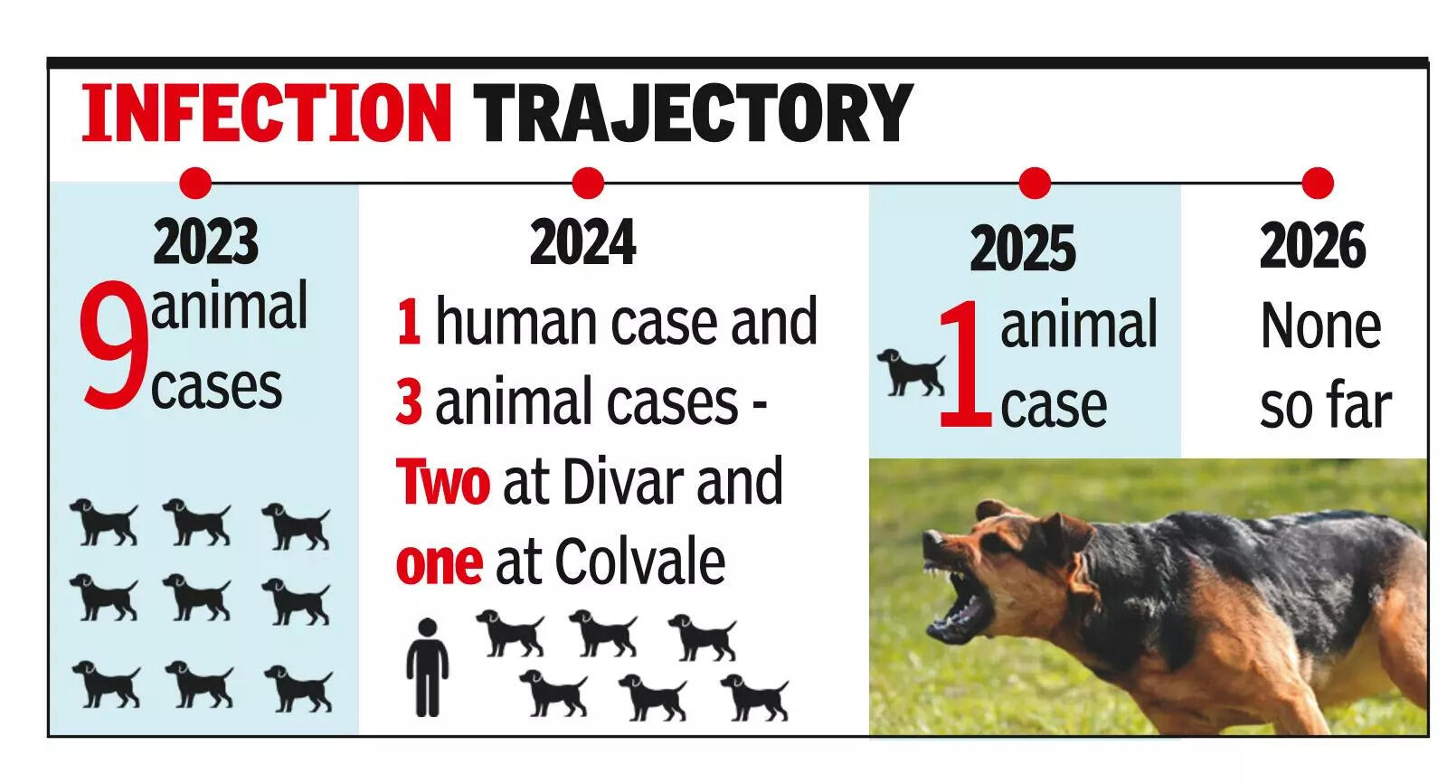 One dog rabies case reported last year, no human affected
