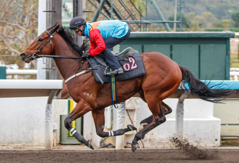 Hong Kong racing insights: Ka Ying Rising goes for 18