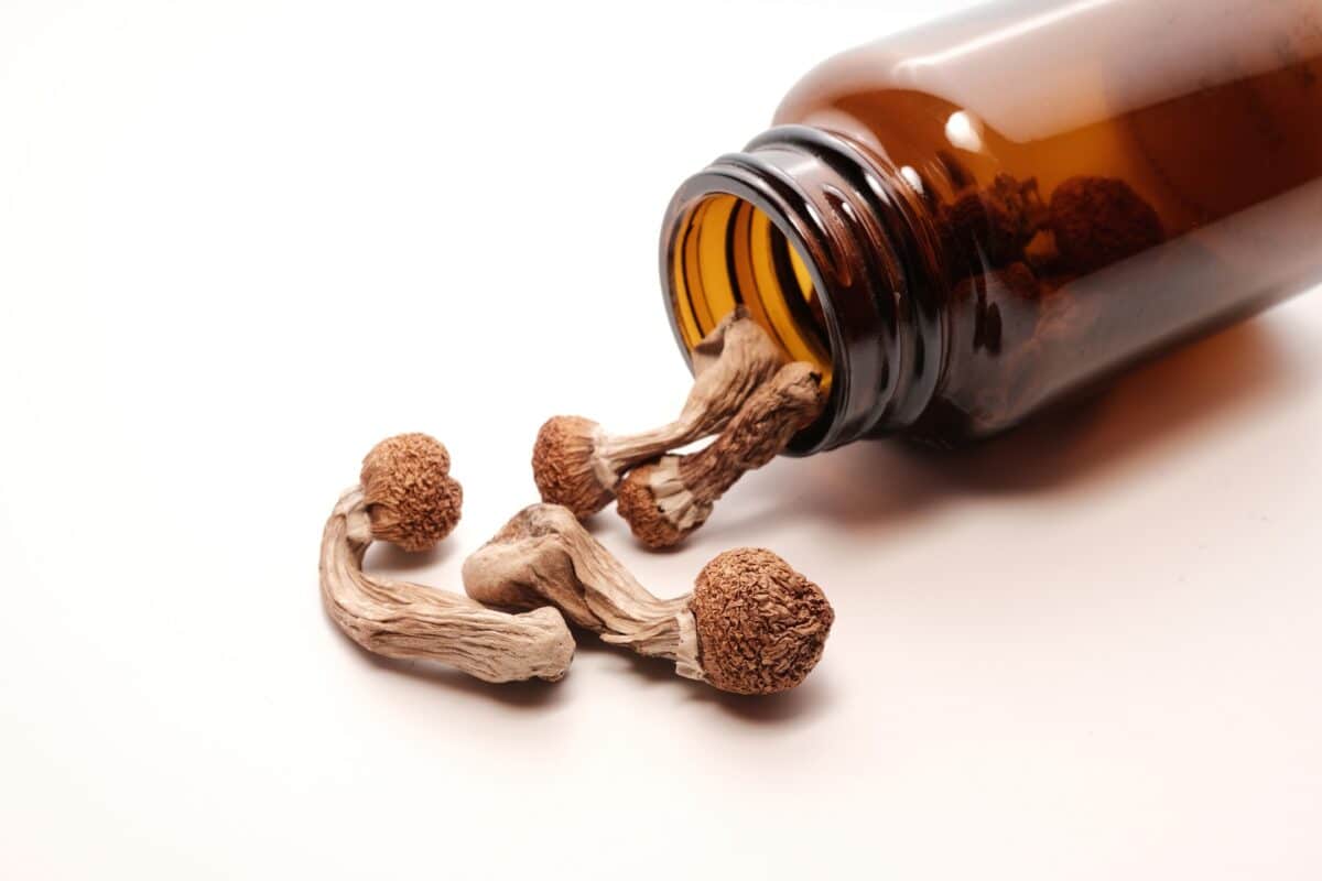 Scientists watched the brain have a psychedelic experience in real time ...