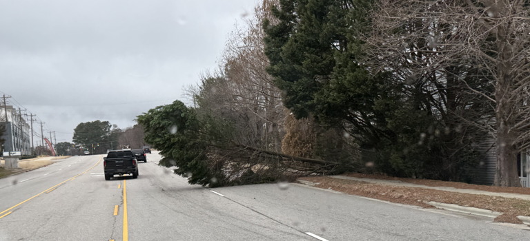 Strong winds brought down trees across Wake County