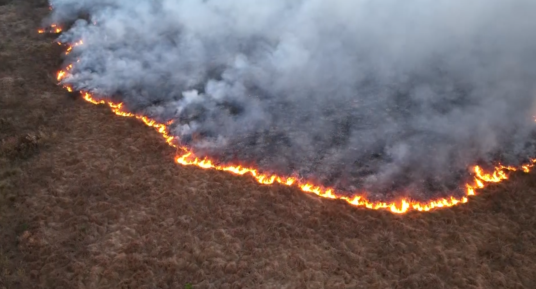 Four months without substantial rainfall as wildfire risk intensifies
