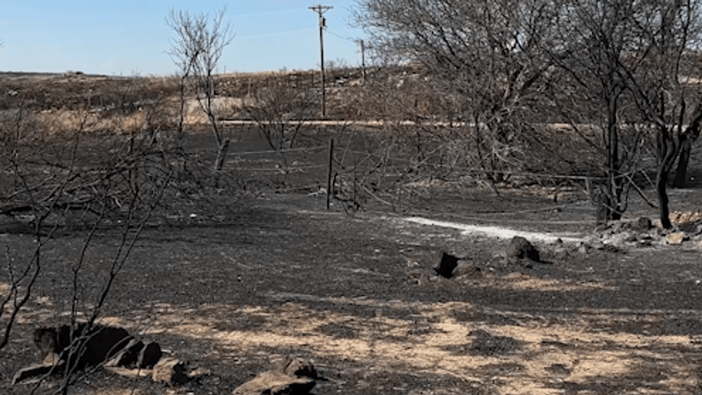 Sunday wildfire status: What's burning, where
