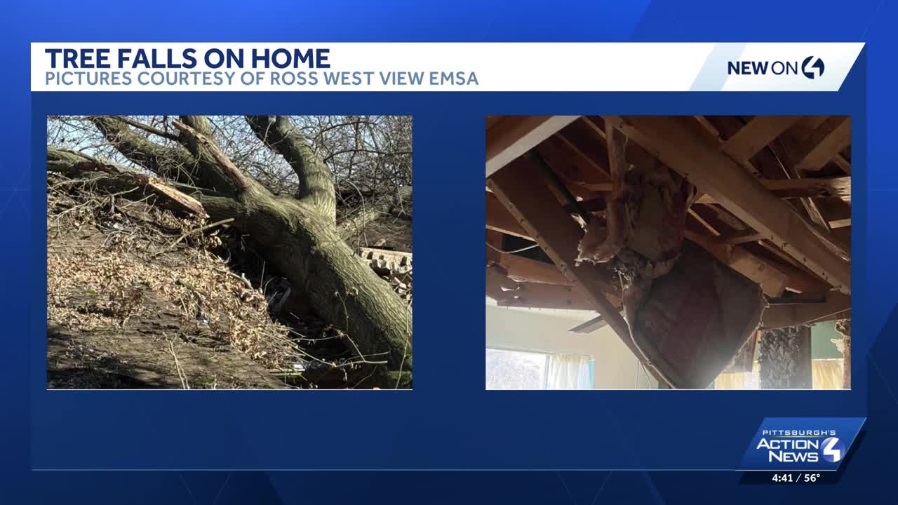 Tree falls on house in West View, Pennsylvania
