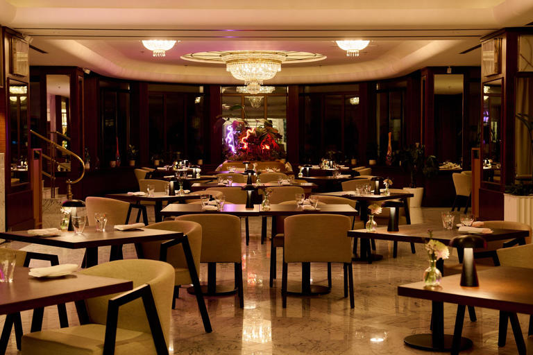 Almanac X Alcron Prague review: A stylish stay in the Czech capital ...