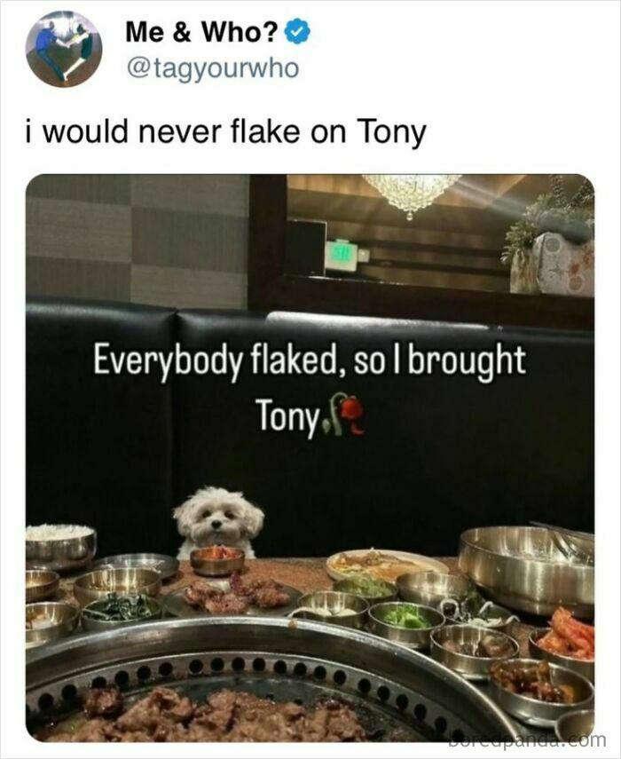 55 hilarious and relatable food memes from “Snack Clips”