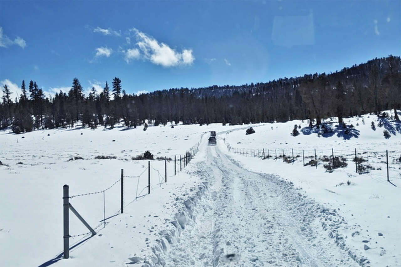 Man, dog trapped for days in Big Bear backcountry storm<br><br>