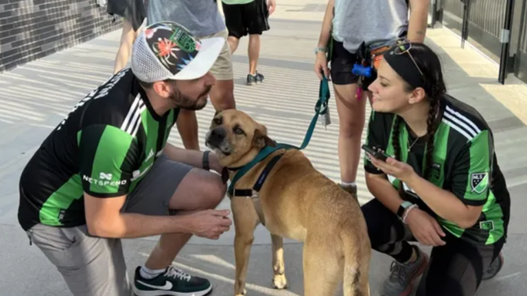 Austin FC, Austin Pets Alive! honorary mascot partnership extended for ...