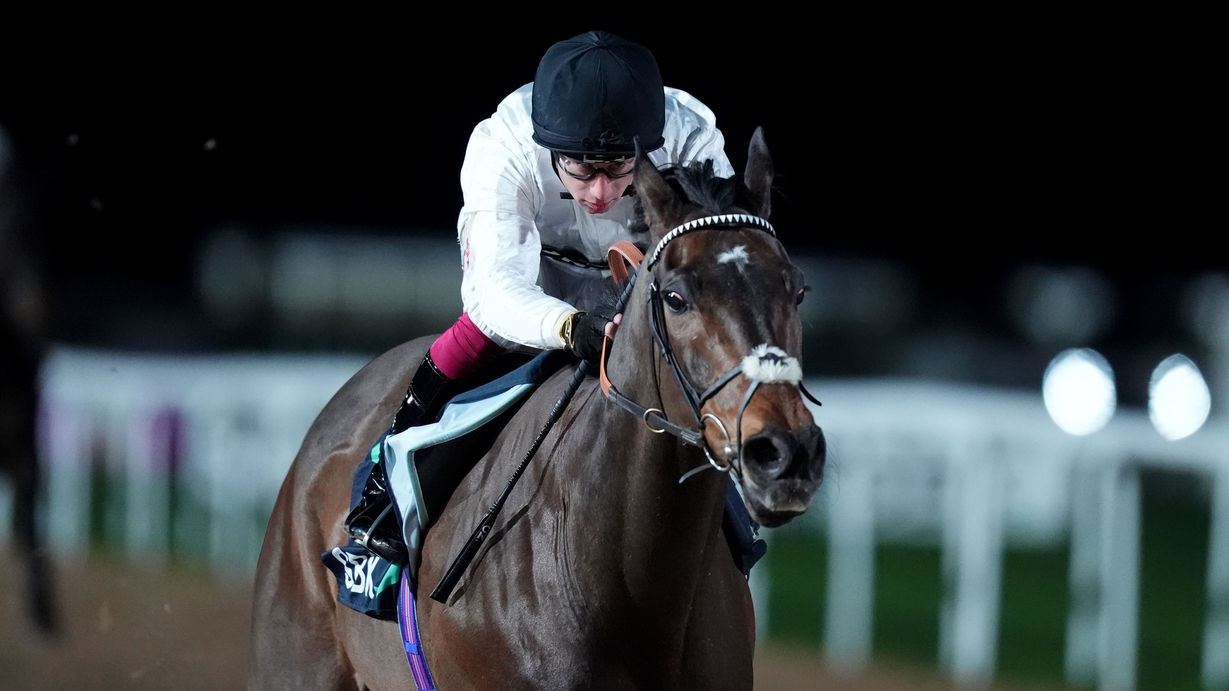 'Machine' Constitution Hill wows on flat debut at Southwell