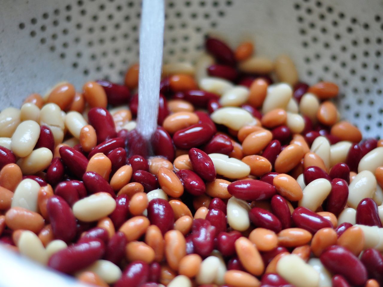 Up close photo of colorful beans in a colander