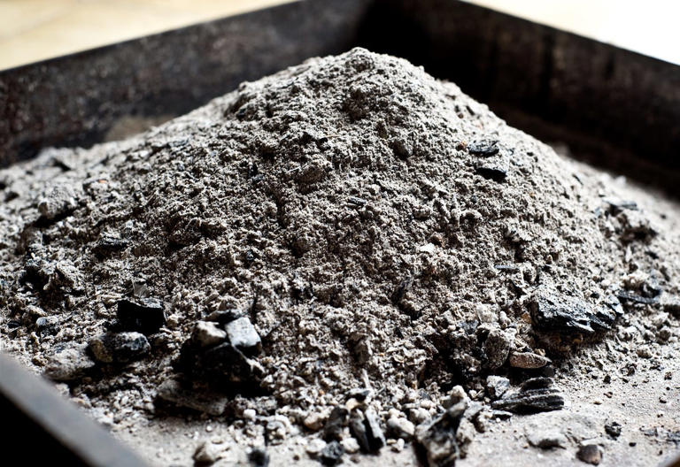 Thinking about using wood ash in your garden? Read this first