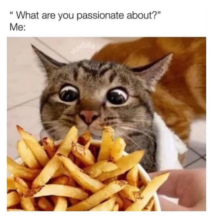 55 hilarious and relatable food memes from “Snack Clips”
