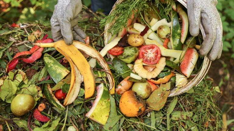 Why you shouldn't throw fruit scraps out of your car window