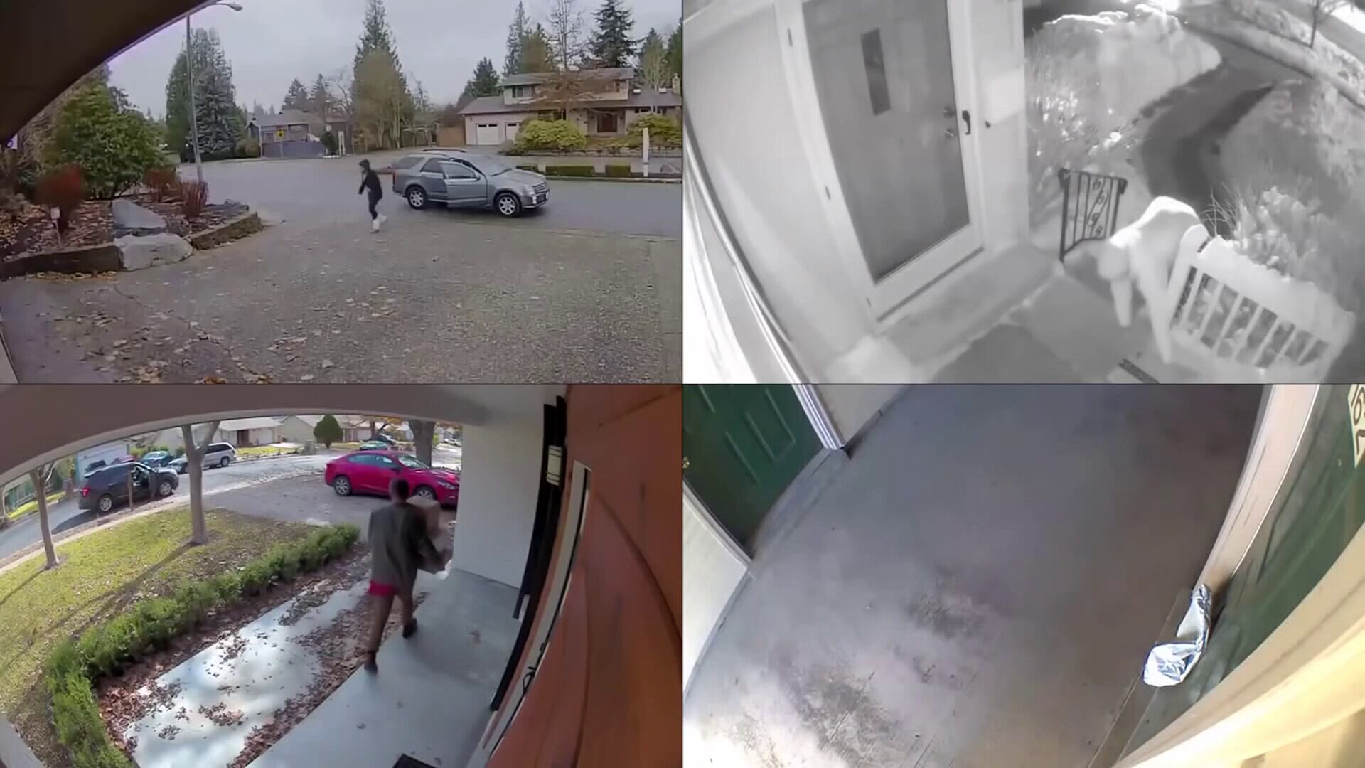Doorbell video in Guthrie case raises questions about surveillance, privacy