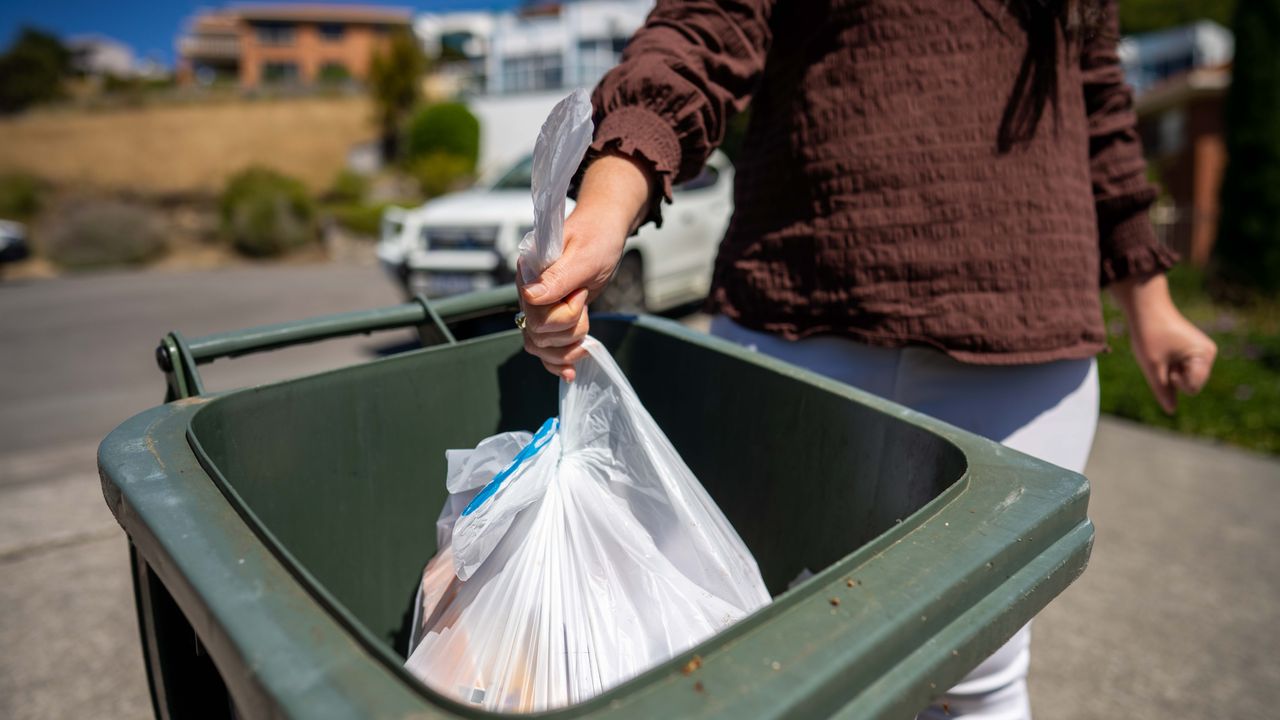 Is it wrong to dump trash in your neighbor's bin? Here’s what the ...