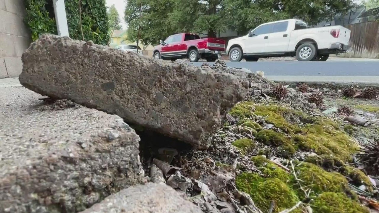 Roseville city leaders neglect older neighborhoods, residents say