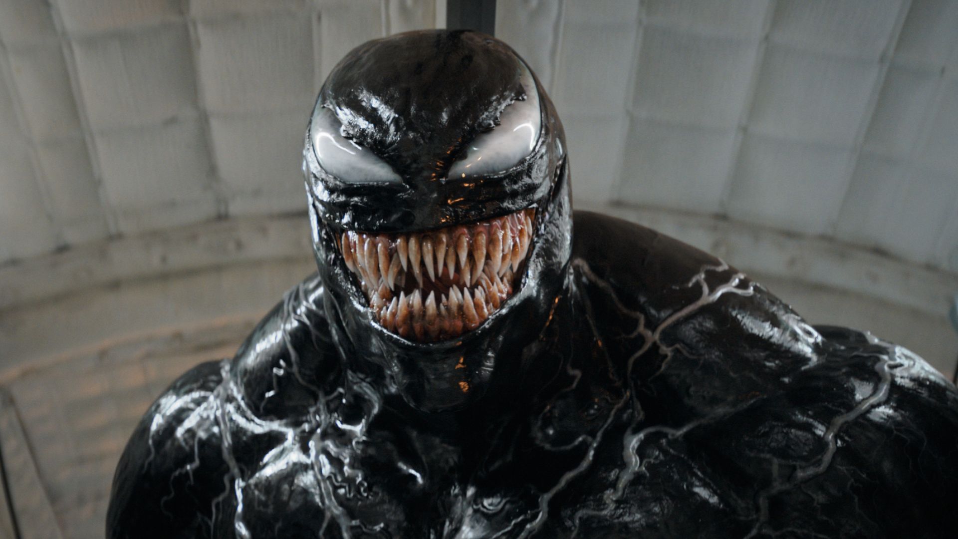 New Venom movie with Tom Hardy in development from breakout horror ...