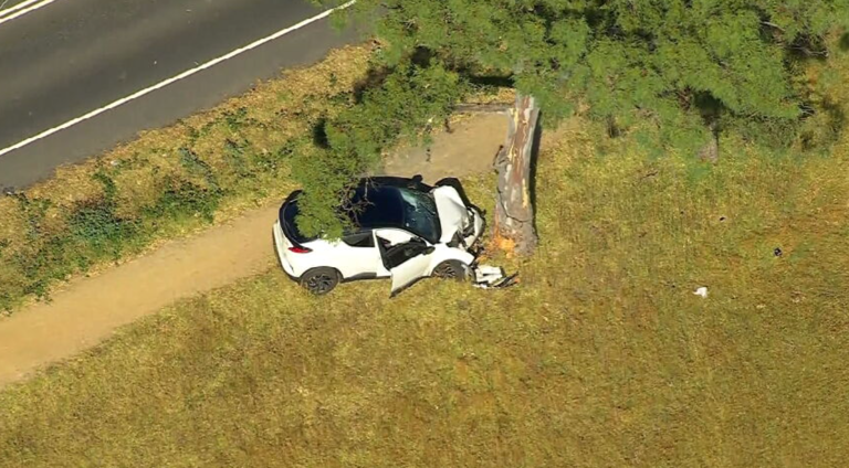 Melbourne teen dies in hospital a week after being struck by a car