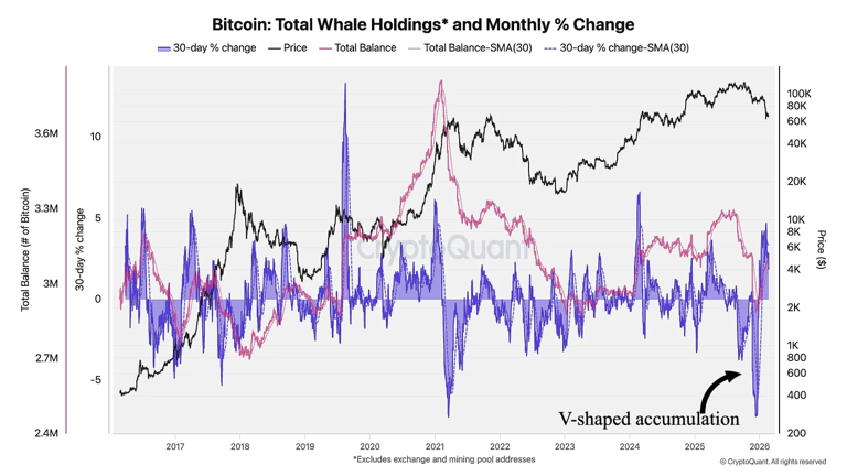 After Ethereum, Bitcoin whales pile back in with $15.6B accumulation ...