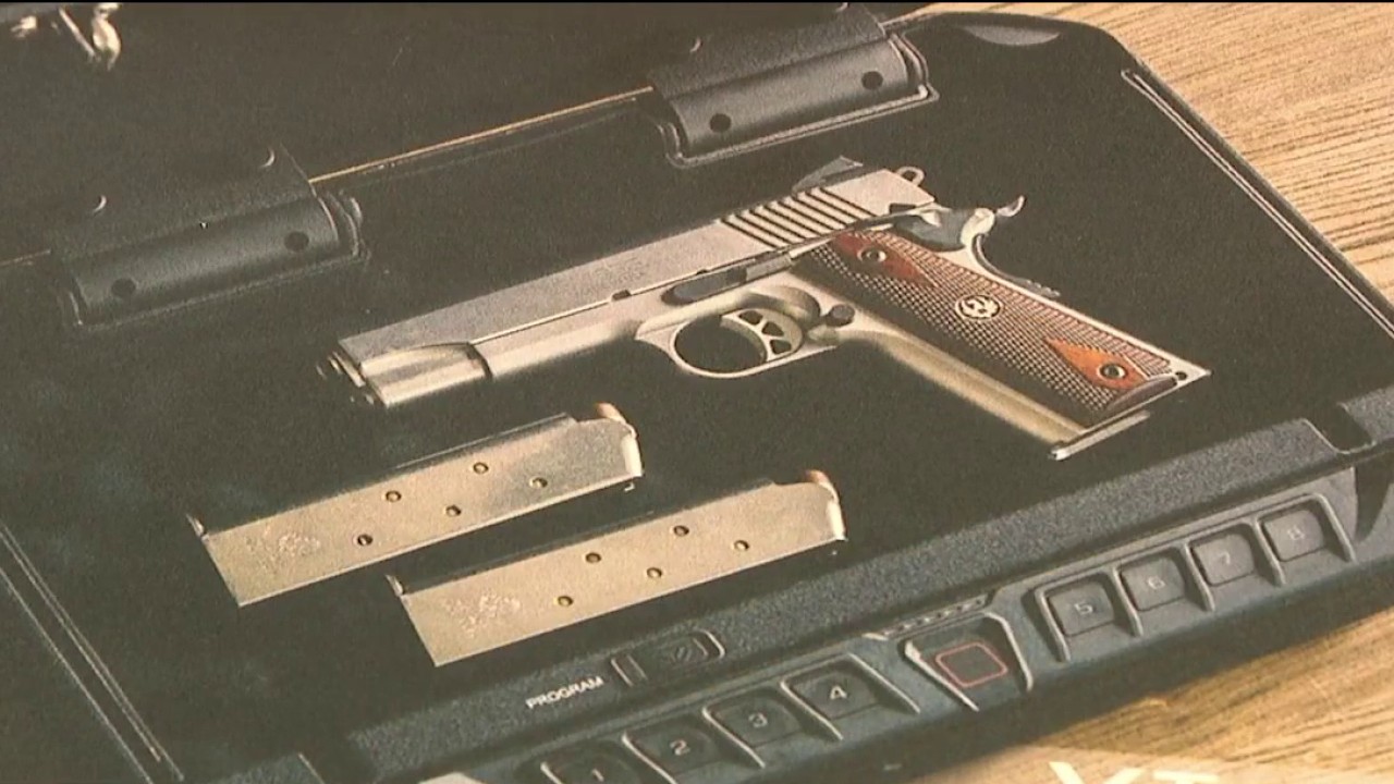 $20 to save a child’s life: Police urge gun owners to secure firearms ...
