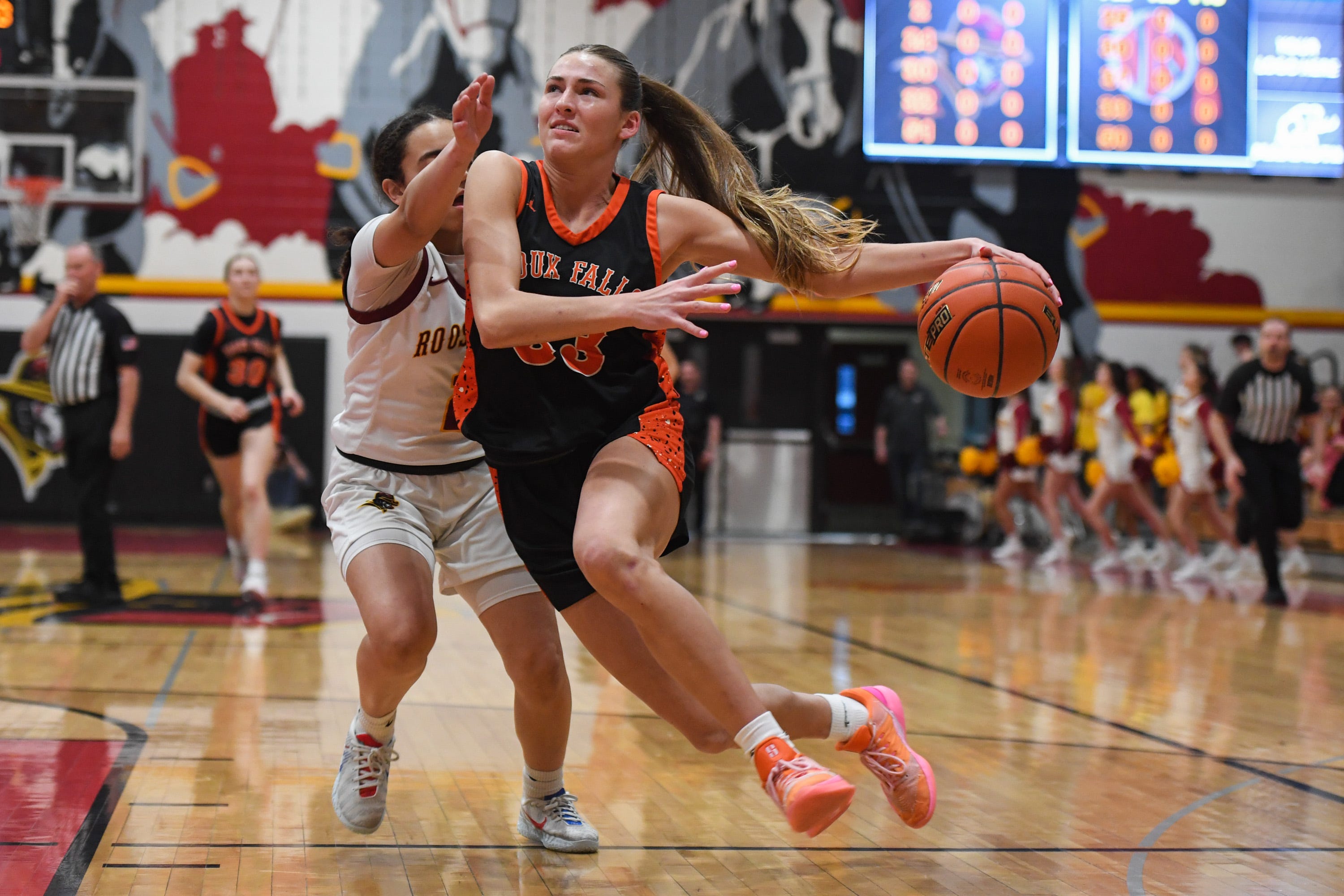 2026 South Dakota high school girls basketball state tournament ...