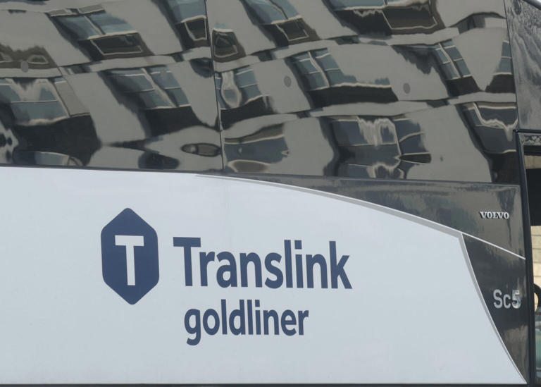 ‘You need reliability in public transport’ – Calls for new ‘metro ...