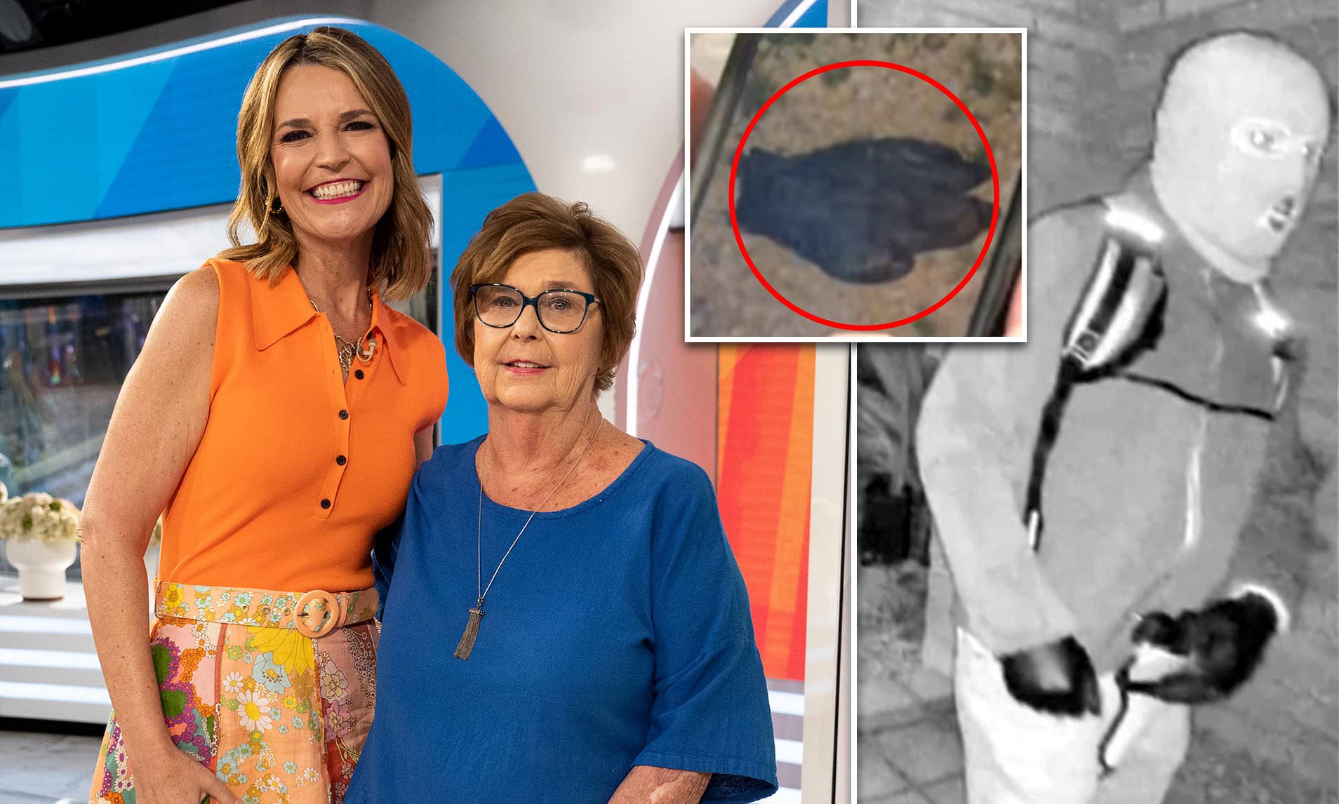 Bloody glove uncovered by Tucson couple as search for Nancy Guthrie drags on for 20th day