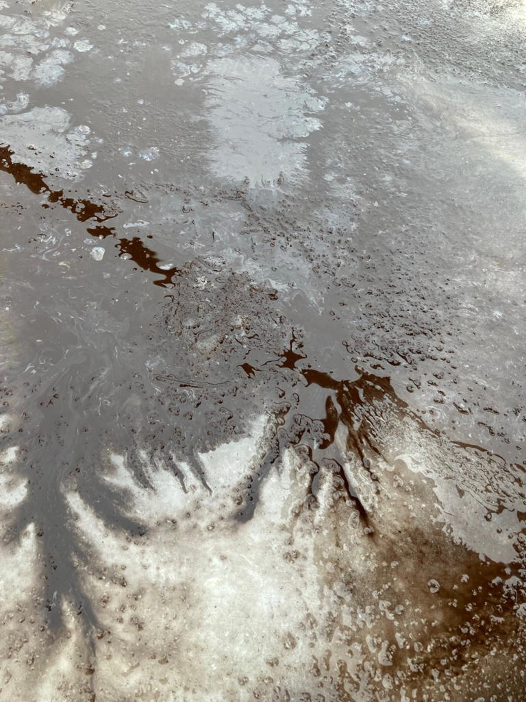 Trump-Kennedy Center ice rink doused in 'toxic chemicals' in 'targeted ...