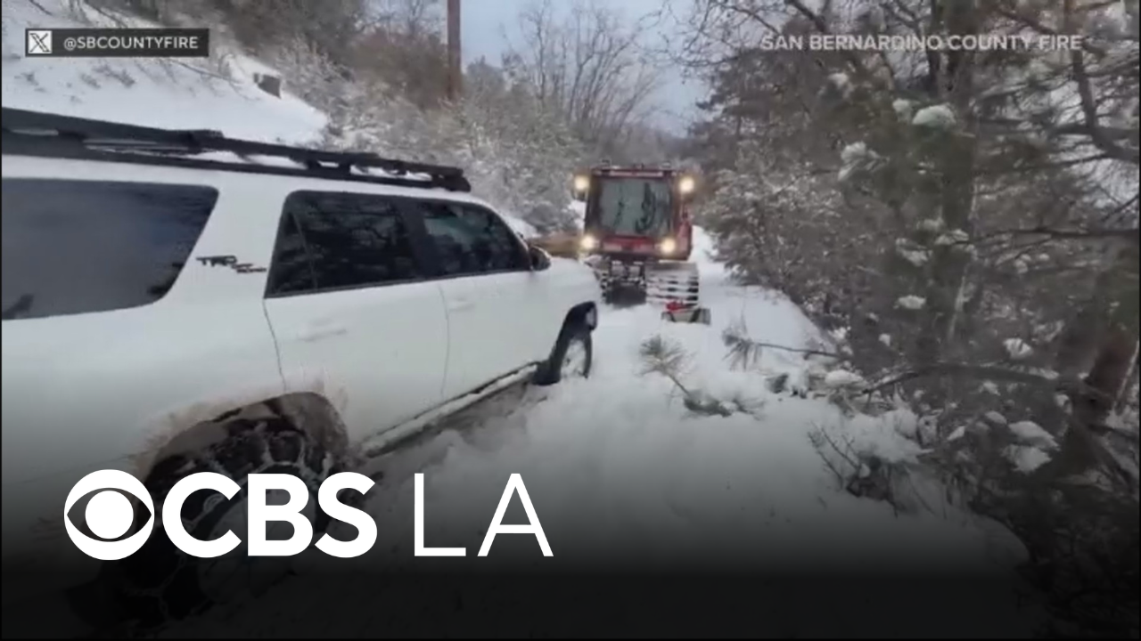 San Bernardino County firefighters rescue stranded camper and his dog