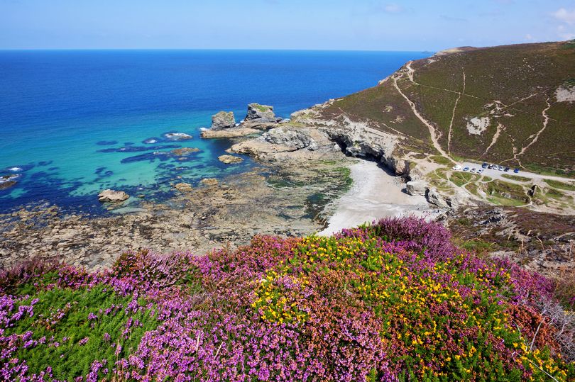 Unspoilt Cornwall village home to lovely bakery with exquisite pastries ...