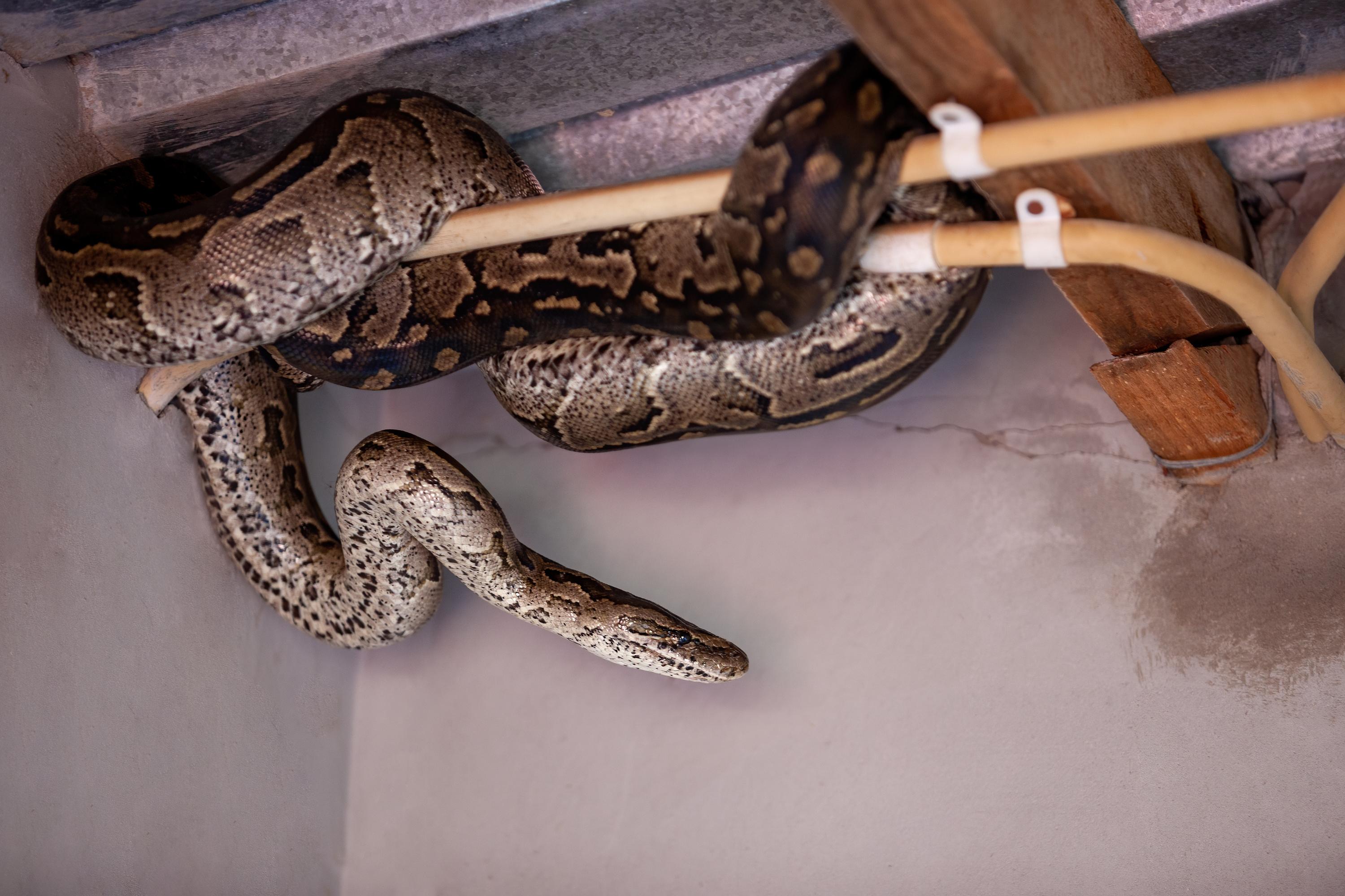 Expulsé de son logement social pour y avoir élevé une soixantaine de ...
