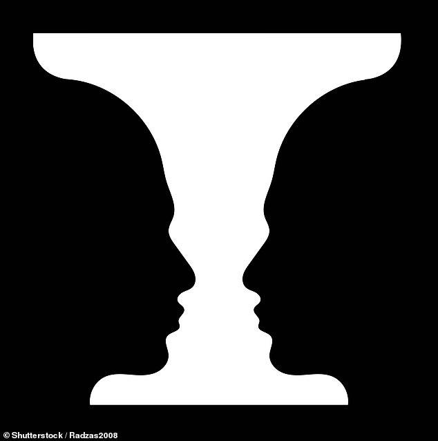 Can YOU see them? Mind-boggling optical illusion has a kitchen utensil ...