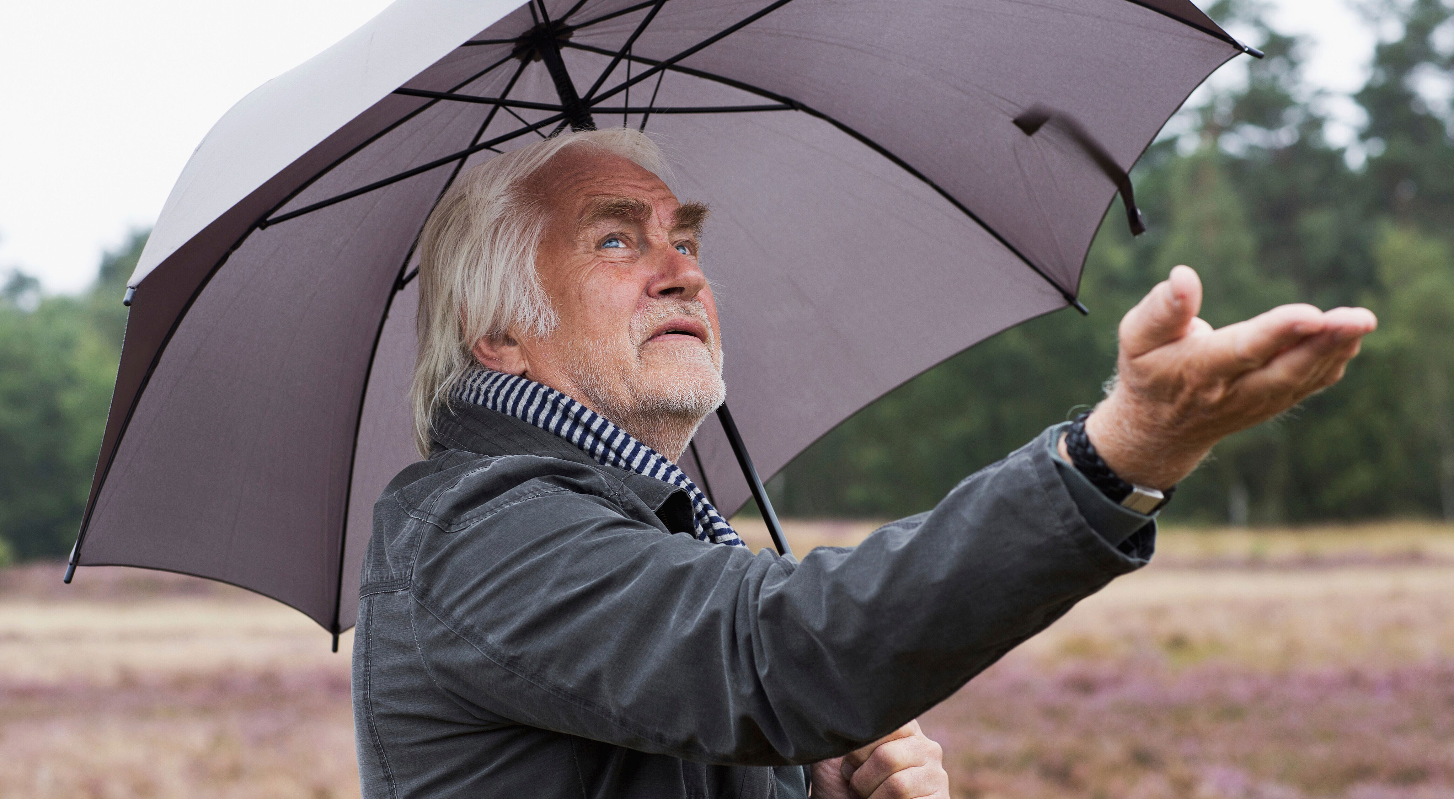 'Buyer beware': One legal expert says a new investment option could ...