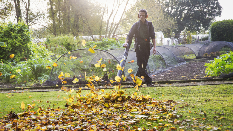 Leaf vacuum vs. leaf blower: Which is better for your needs?