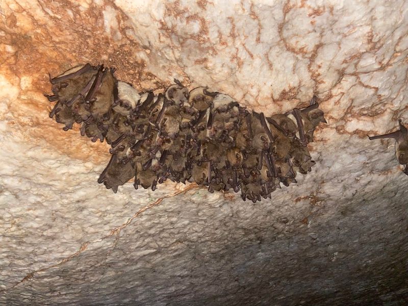 The underground cave tour in Oklahoma is a one-of-a-kind adventure you ...