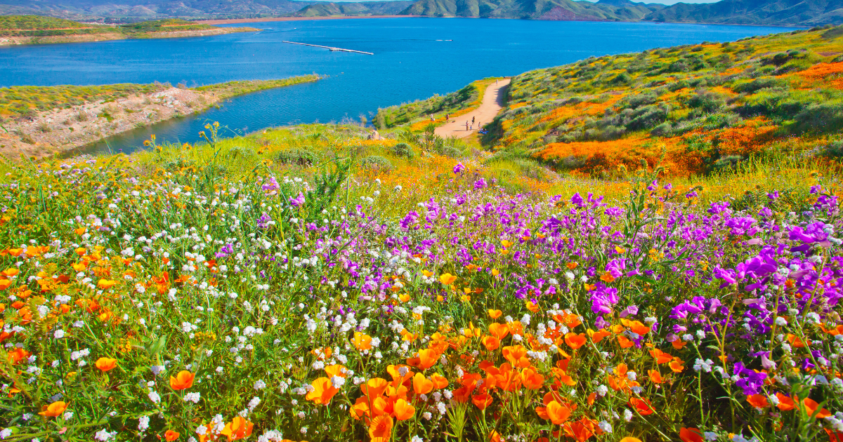 7 most colorful places you can find in Southern California