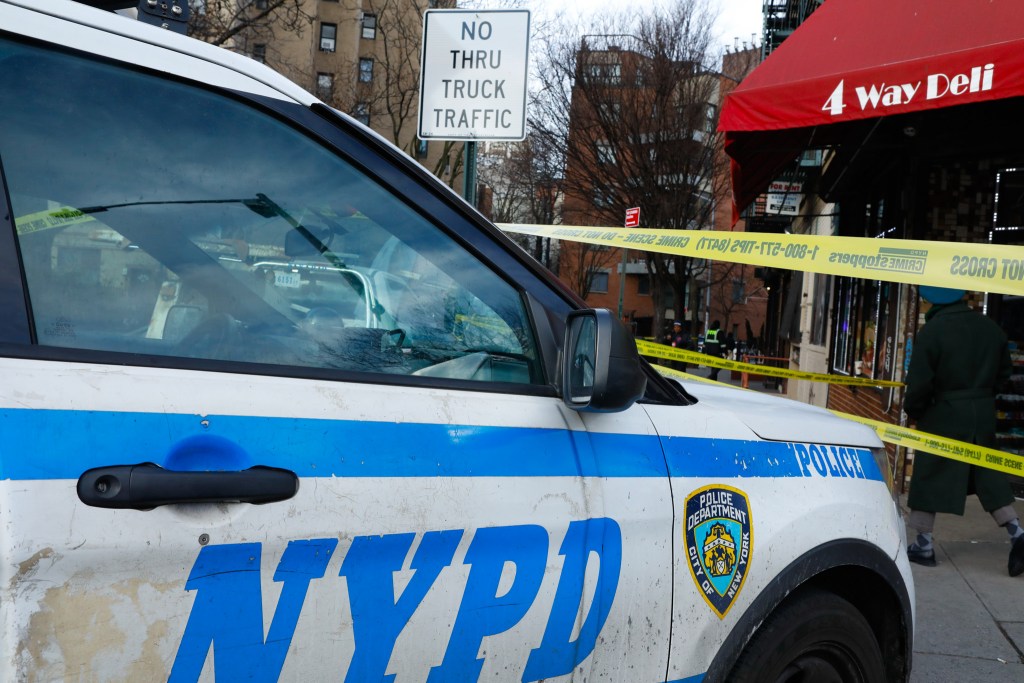 The state of crime in New York City, 2025