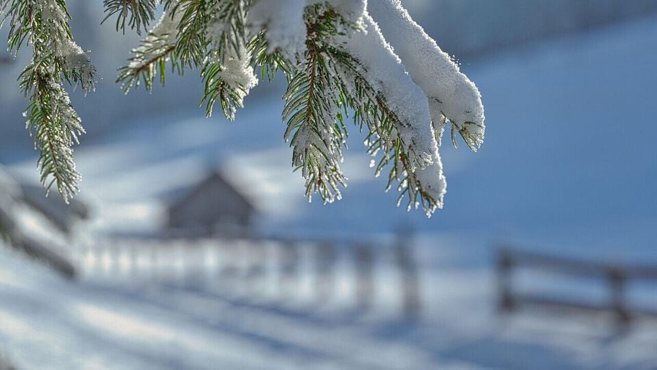 Nor’easter storm set to bring heavy snow, strong winds and blizzard ...