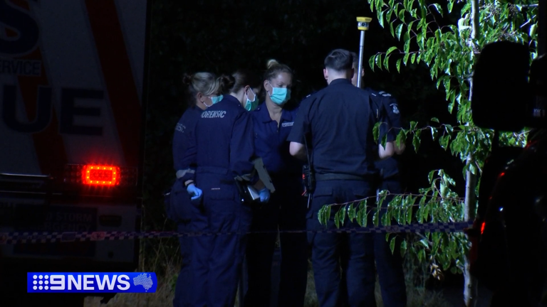 Man charged with murder after grandmother allegedly hit by car