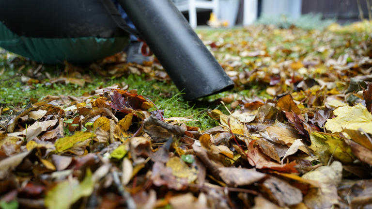 Leaf vacuum vs. leaf blower: Which is better for your needs?